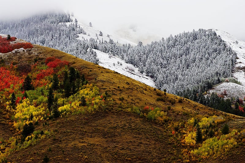 Color Images - ALAN SIFLINGER