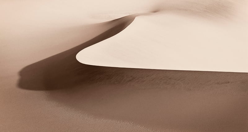 Line in the Sand - ALAN SIFLINGER