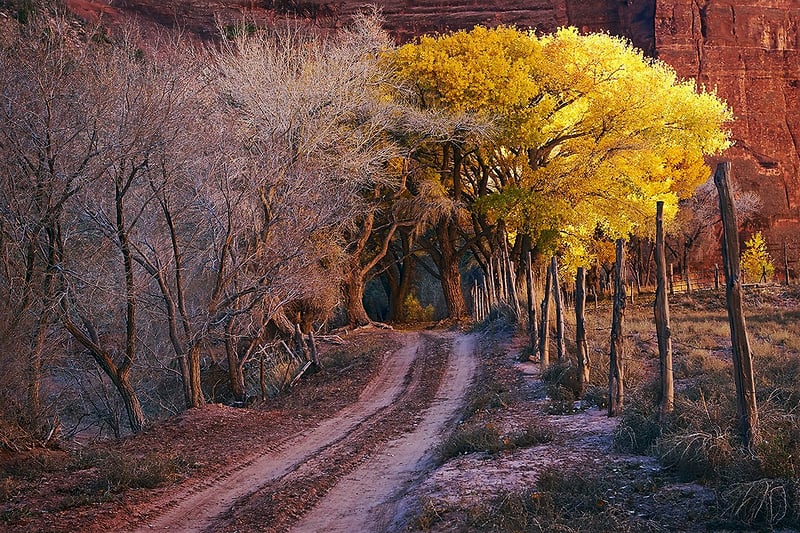 Sunset, Canyon de Chelly - ALAN SIFLINGER