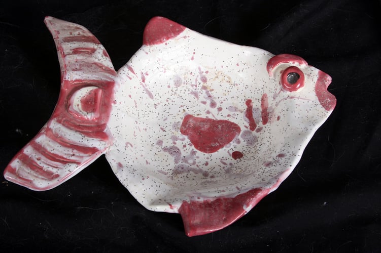 Fish Dish - Alexis Dillon | PHOTOGRAPHER