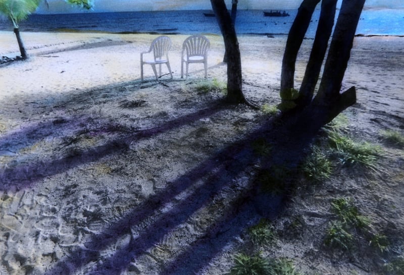 Shadows Fall - Alexis Dillon | PHOTOGRAPHER