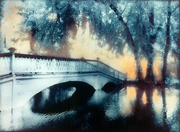 Magnolia Bridge - Alexis Dillon | PHOTOGRAPHER