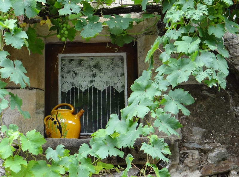 Yellow Teapot - Alexis Dillon | PHOTOGRAPHER