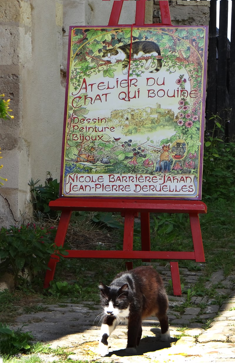 Atelier du Chat Qui Bouine - Alexis Dillon | PHOTOGRAPHER