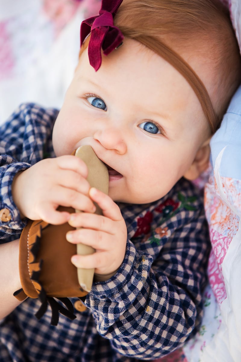 David June Family Heritage Park And Gardens Live Oak Fl - Anthony James Photography