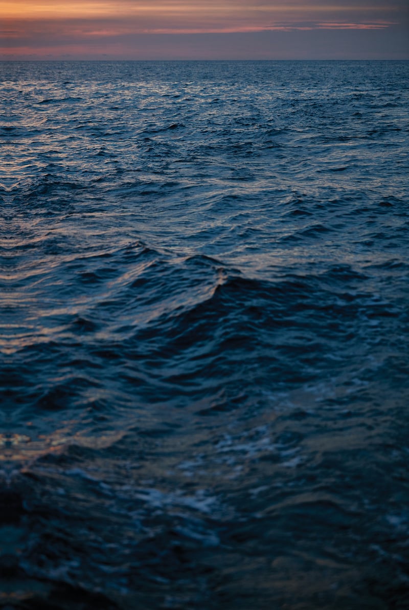 Richards Formentera - Bebel Moraes