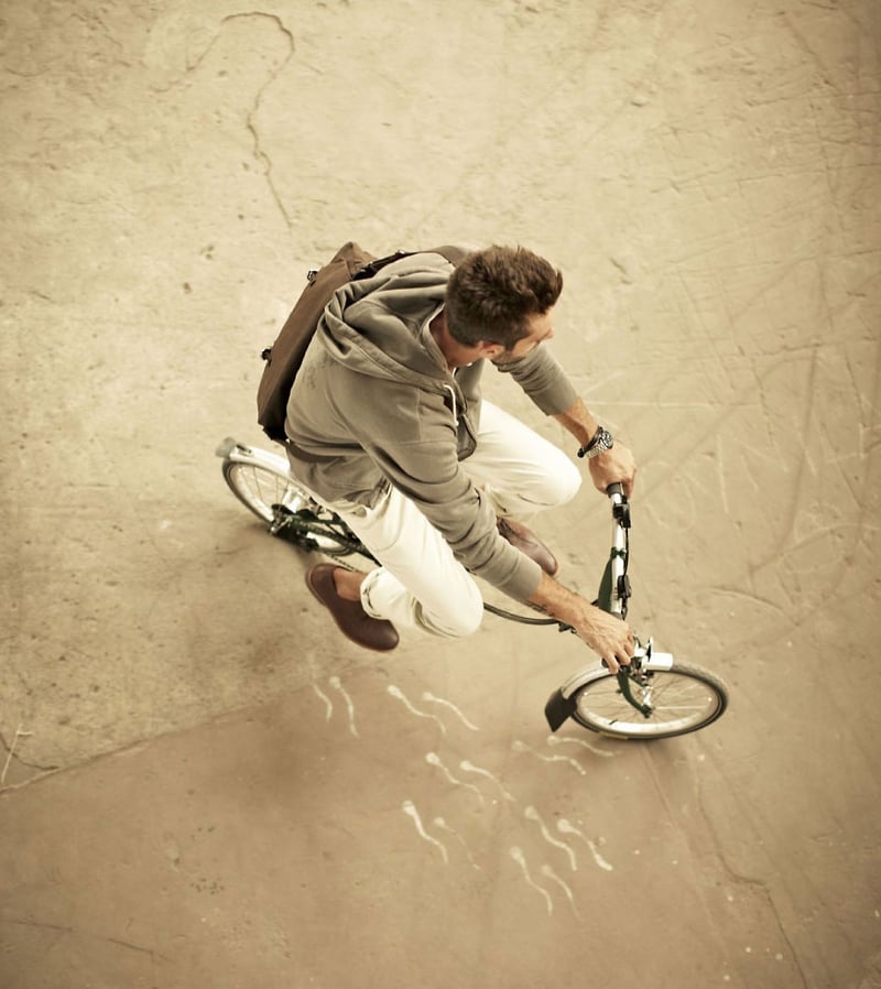 Selaria - Bebel Moraes