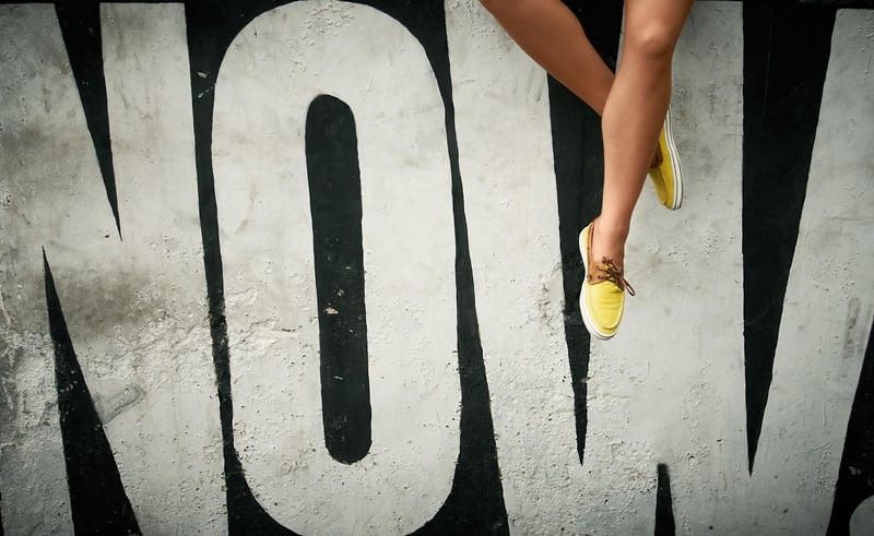 Selaria - Bebel Moraes