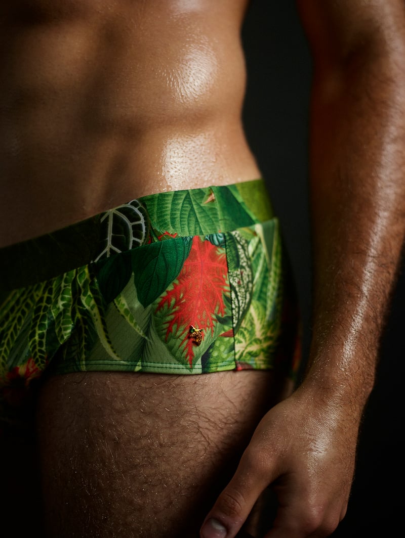 The Paradise - Bebel Moraes