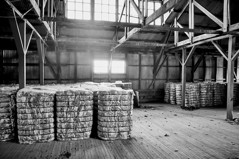 Richards Patagonia Inv 16 - Bebel Moraes