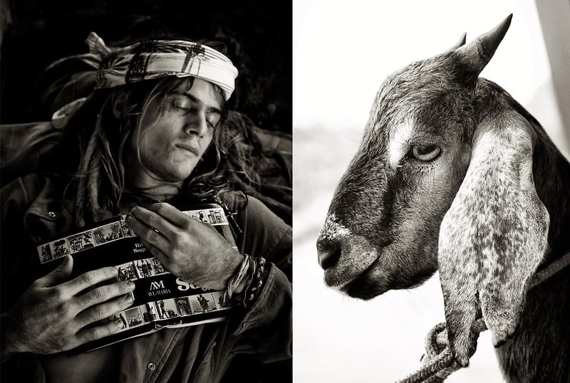 Dengue Mag O Cabra - Bebel Moraes