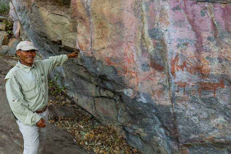 Rupestres - Franck Bordas, paysages avec animaux