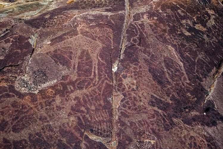 Rupestres - Franck Bordas, paysages avec animaux