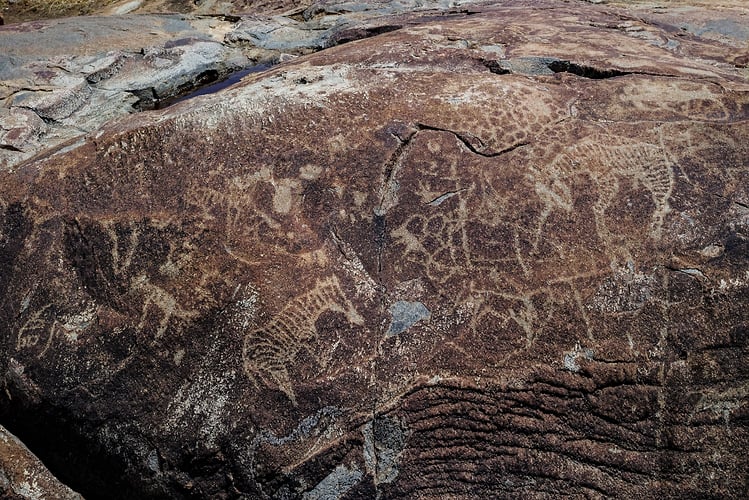 Rupestres - Franck Bordas, paysages avec animaux