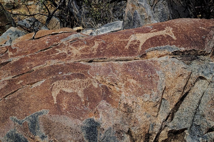 Rupestres - Franck Bordas, paysages avec animaux