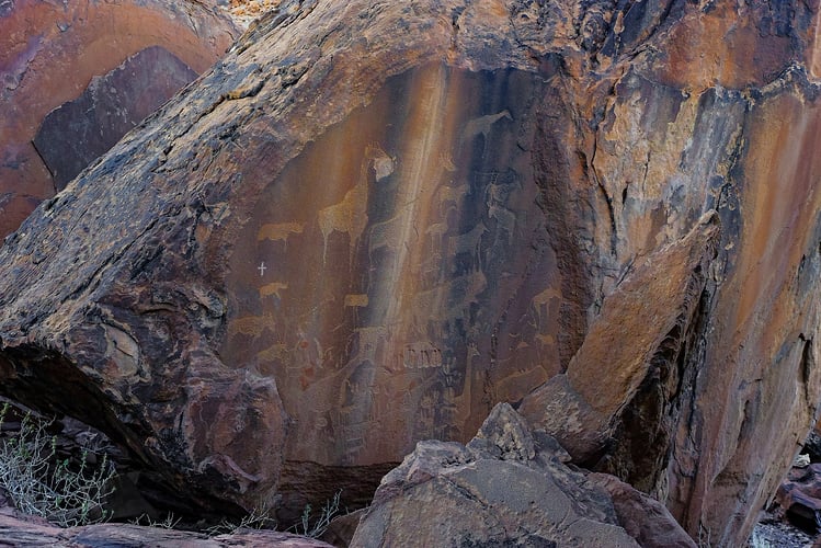 Rupestres - Franck Bordas, paysages avec animaux