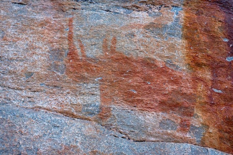 Rupestres - Franck Bordas, paysages avec animaux