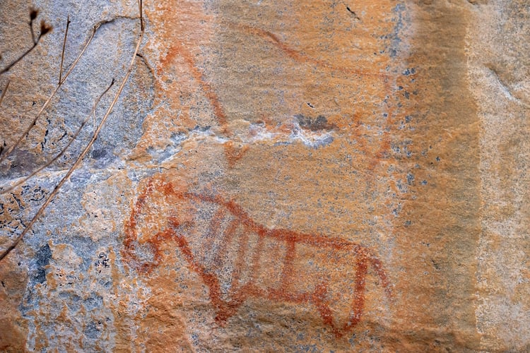 Rupestres - Franck Bordas, paysages avec animaux