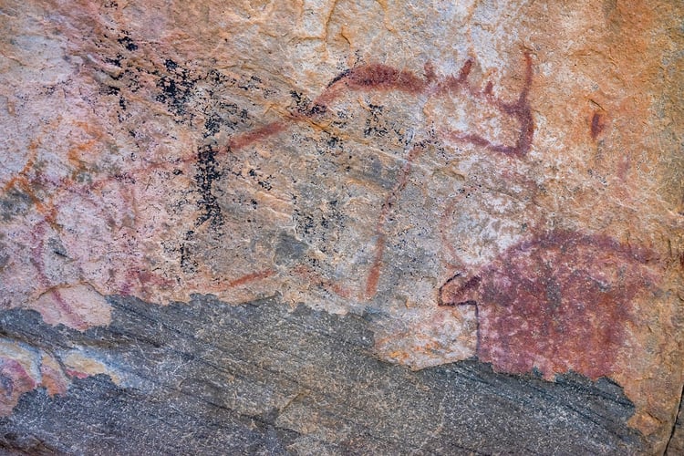 Rupestres - Franck Bordas, paysages avec animaux