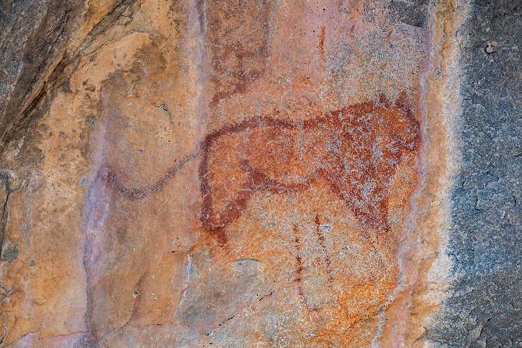 Rupestres - Franck Bordas, paysages avec animaux