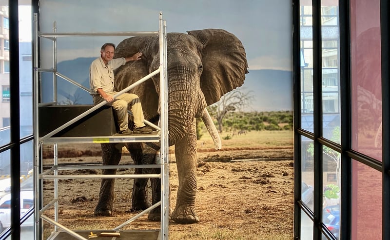 Parcours - Franck Bordas, paysages avec animaux