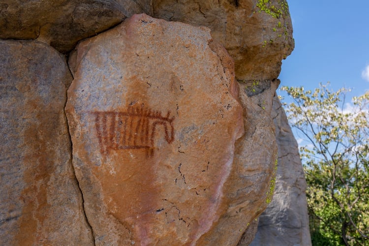 Rupestres - Franck Bordas, paysages avec animaux