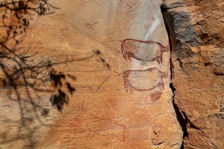 Rupestres - Franck Bordas, paysages avec animaux