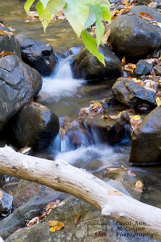 123 - Ruisseau du chemin Paugan / Paugan Road Creek - www.camphoto.ca