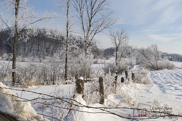 130 - Ferme et forêt - www.camphoto.ca