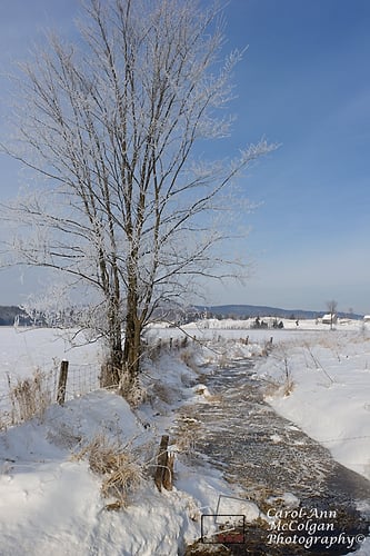 131 - Ruisseau du lac Fairbairn / Fairbairn Lake Creek - www.camphoto.ca