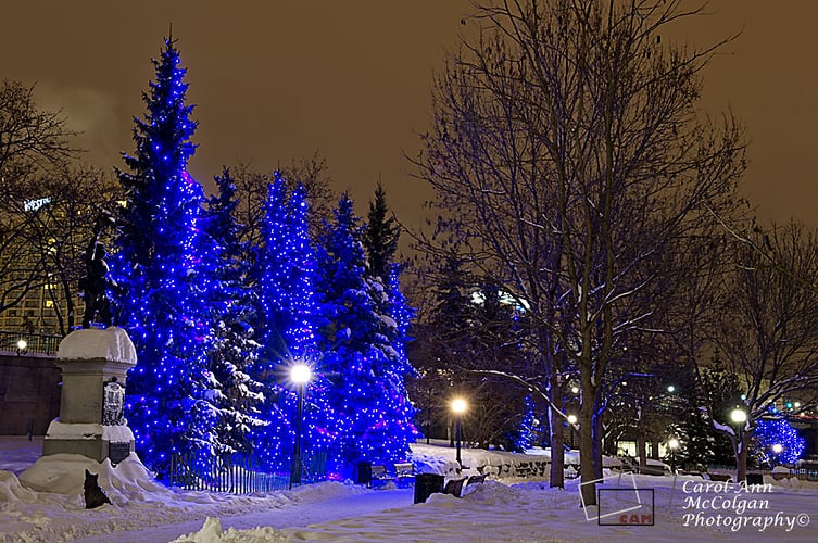 136 - Parc de la confédération / Confederation Park - www.camphoto.ca