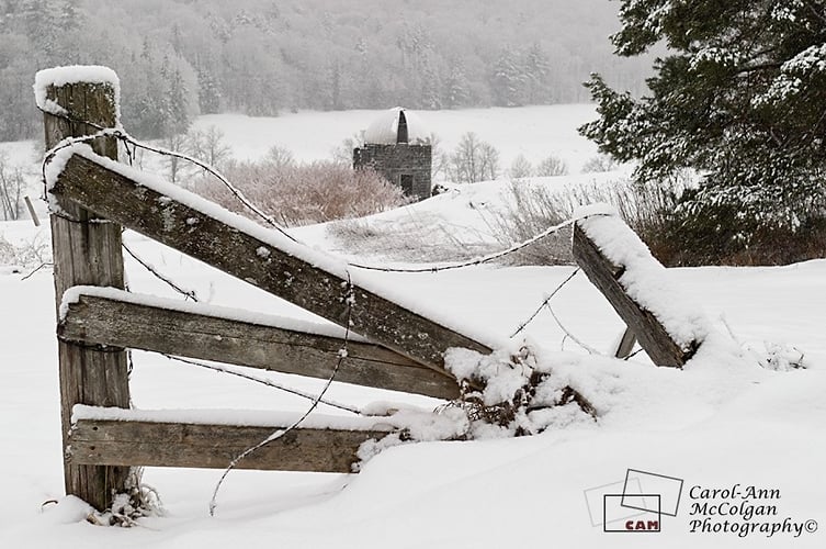 138 - Silo sur chemin Cross Loop / Cross Loop Silo - www.camphoto.ca