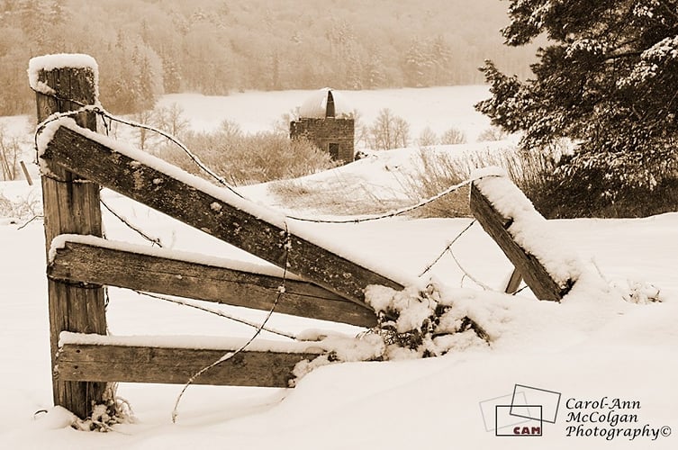 139 - Silo sur chemin Cross Loop / Cross Loop Silo - www.camphoto.ca