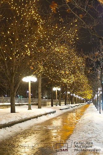 145 - Lumières de noel sur Sussex / Sussex Xmas Lights - www.camphoto.ca