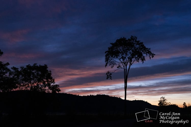 152 - Coucher du soleil sur chemin Cross Loop / Cross Loop Sunset - www.camphoto.ca