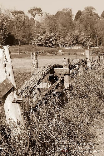 159 - Chemin du lac Johnston / Johnston Lake Road - www.camphoto.ca