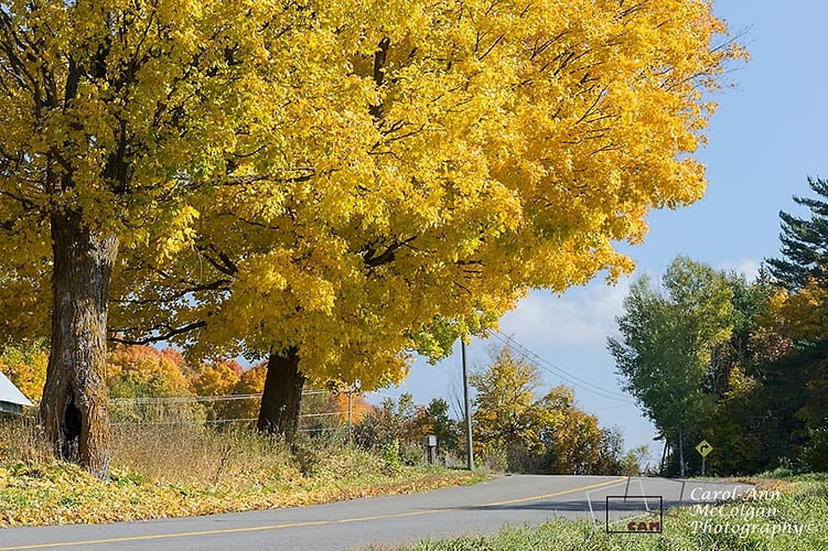 160 - La ferme Pritchard / Pritchard Farm - www.camphoto.ca