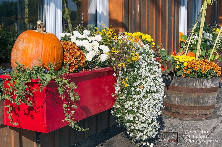 163 - La maison du village / The Village House - www.camphoto.ca