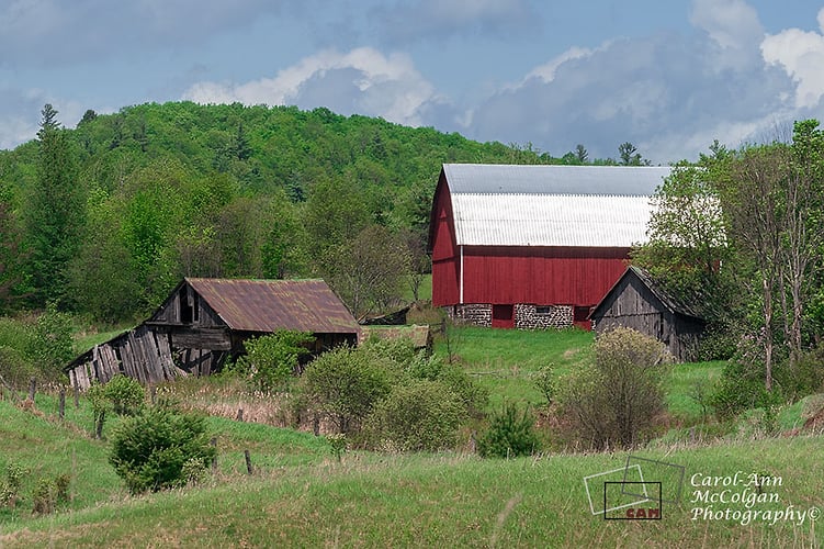 204 - Grange rouge au soleil / Red Barn Sunny Day - www.camphoto.ca