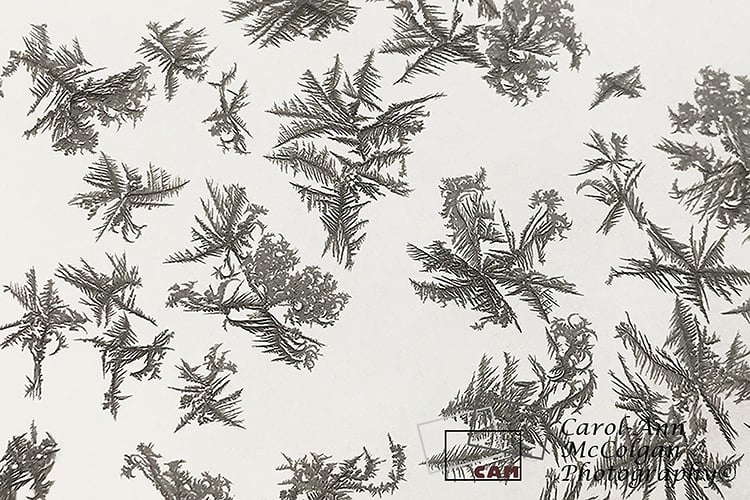 215 - Fenêtre givrée / Window Frost - www.camphoto.ca