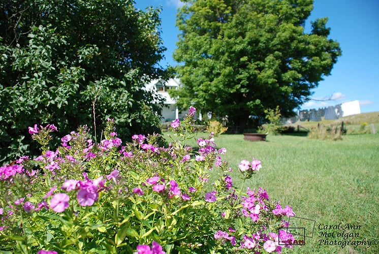 24 - La ferme / The Farm - www.camphoto.ca