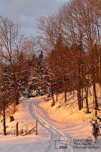 289 - Sentier de raquettes / Snowshoe Trail - www.camphoto.ca