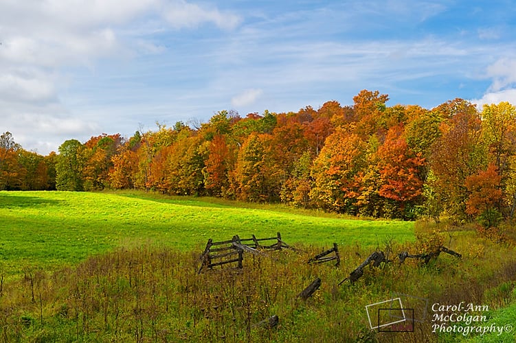 29 - 366 Ouest / 366 West - www.camphoto.ca