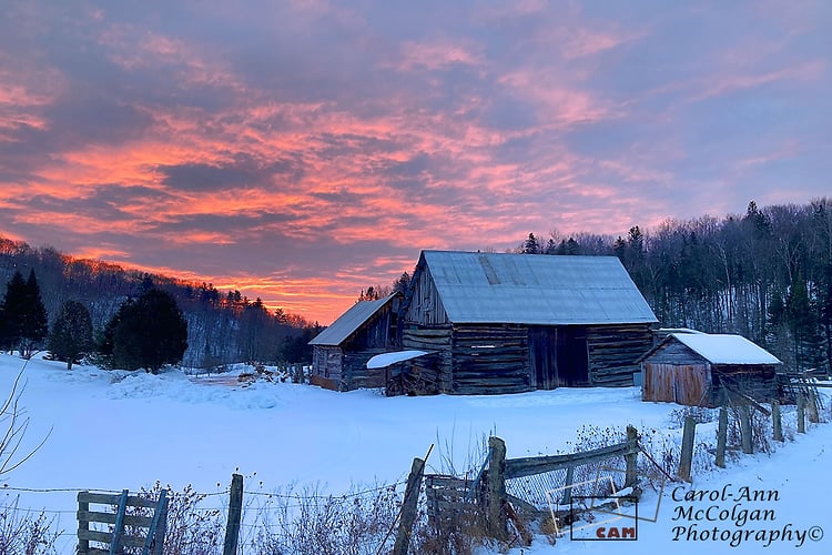 290 - Lever de soleil dans le basse-cour / Barnyard Sunrise - www.camphoto.ca