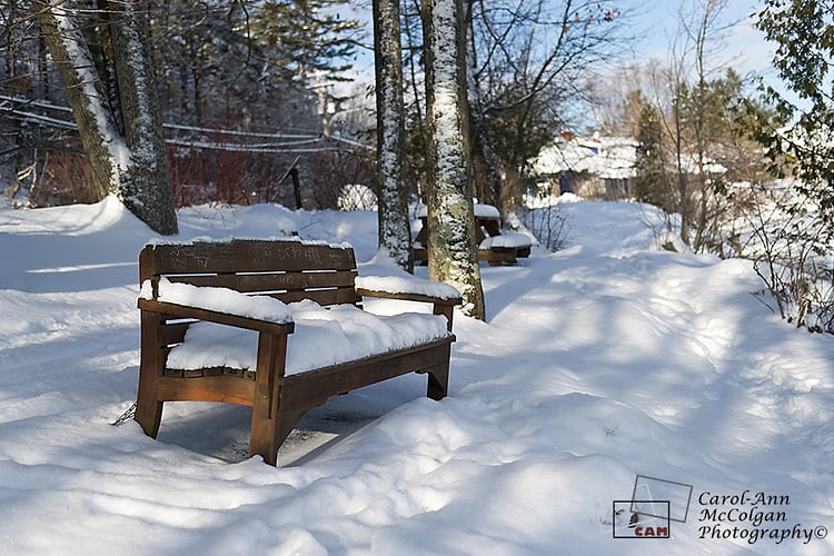 37 - Banc (Parc Geggie) / Bench (Geggie Park) - www.camphoto.ca