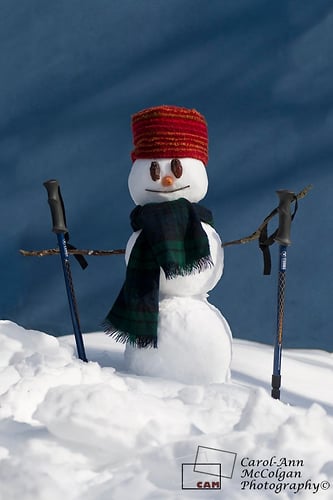 38 - Bonhomme de neige / Snowman - www.camphoto.ca