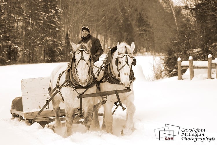 64 - Chevaux et traîneau / Horses & Sleigh - www.camphoto.ca