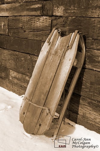 65 - Luge / Sled - www.camphoto.ca