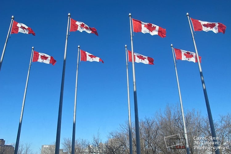 77 - Drapeaux canadiens / Canada Flags - www.camphoto.ca