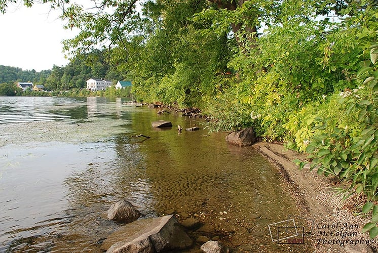 79 - Rive de Wakefield / Wakefield Shoreline - www.camphoto.ca